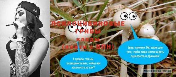 сатива Алзамай