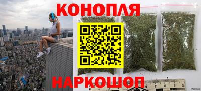 гидра Кингисепп