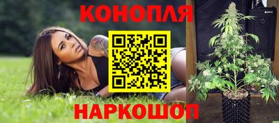 гидра Кингисепп