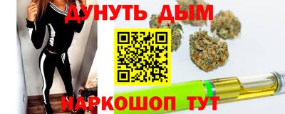 гидра Кингисепп