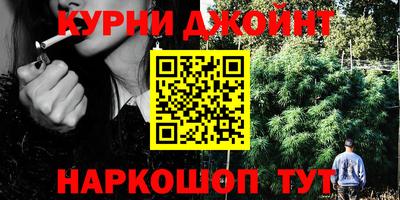 гидра Кингисепп